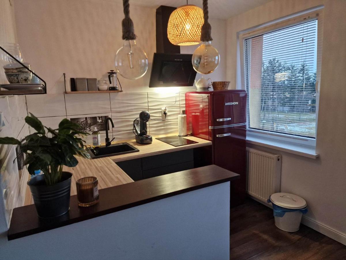Apartament Sportowa 格雷菲采 外观 照片